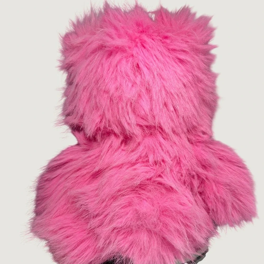 Care Bears Super Fuzzies Cheer Bear 14